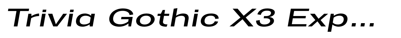 Trivia Gothic X3 Expanded Italic